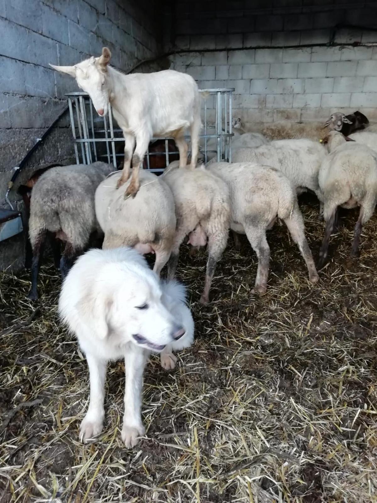 مورمانو Agriturismo Casa Della Nonna المظهر الخارجي الصورة