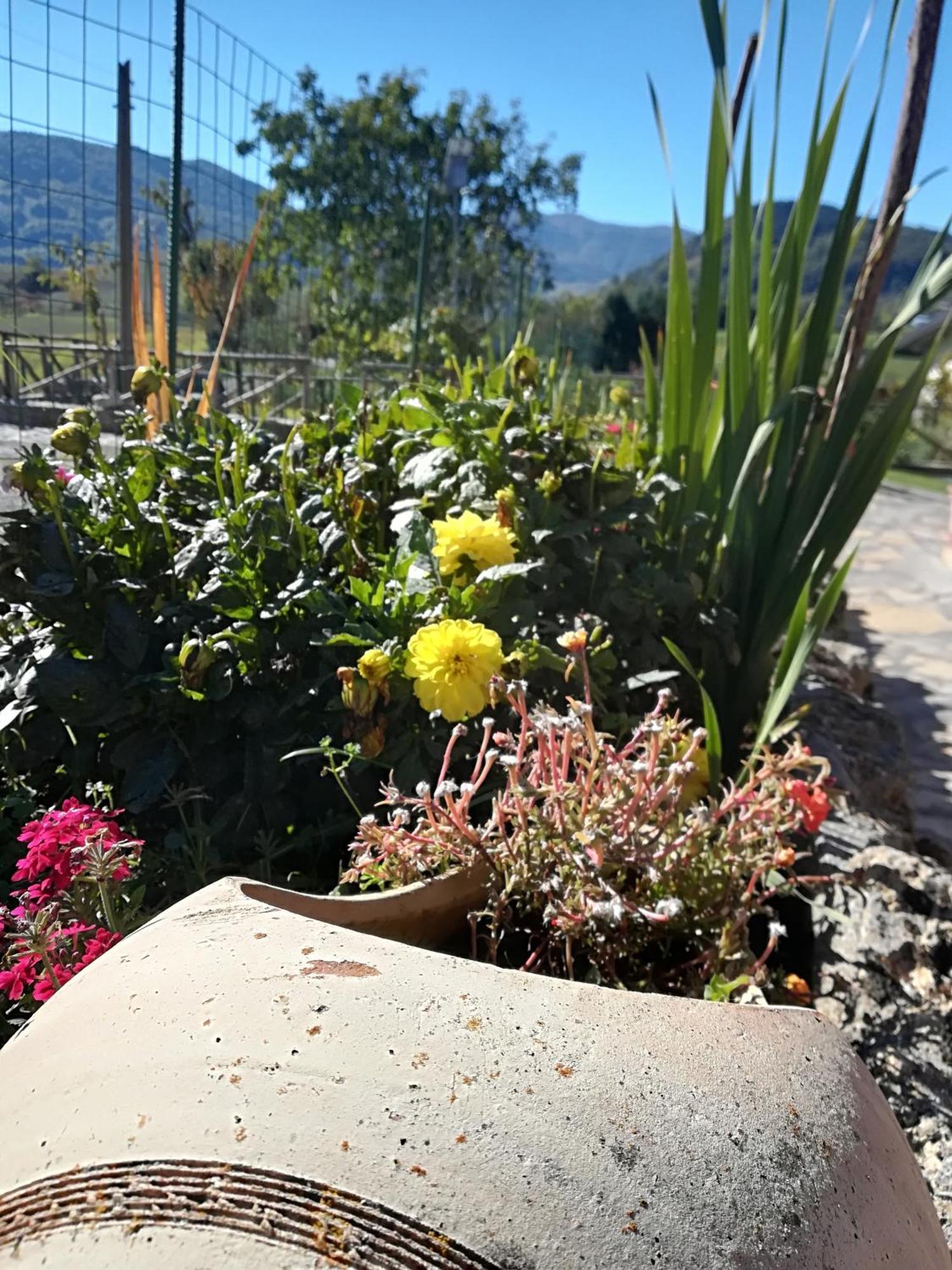 مورمانو Agriturismo Casa Della Nonna المظهر الخارجي الصورة