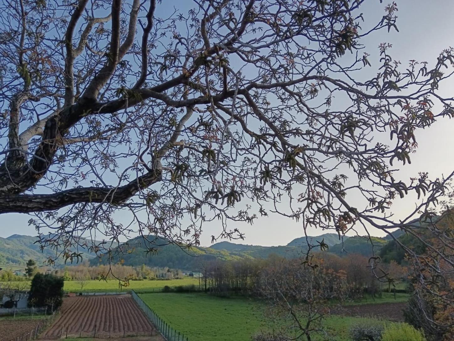 مورمانو Agriturismo Casa Della Nonna المظهر الخارجي الصورة