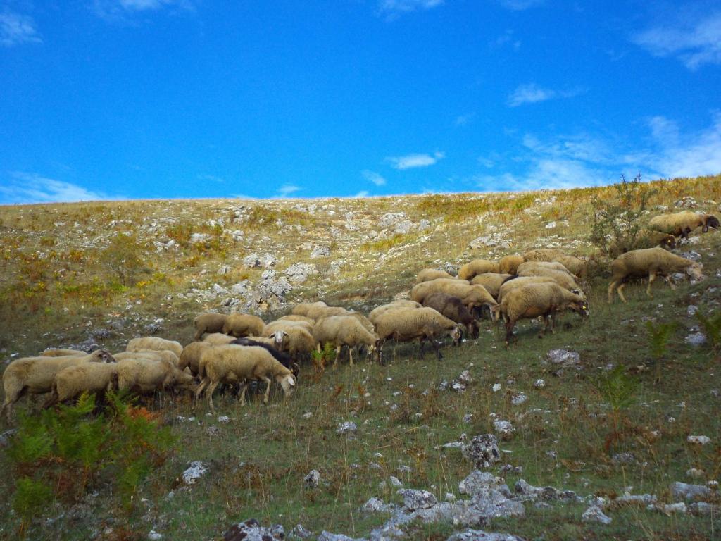 مورمانو Agriturismo Casa Della Nonna المظهر الخارجي الصورة