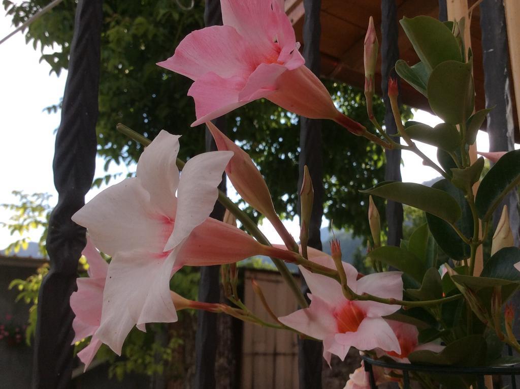 مورمانو Agriturismo Casa Della Nonna المظهر الخارجي الصورة