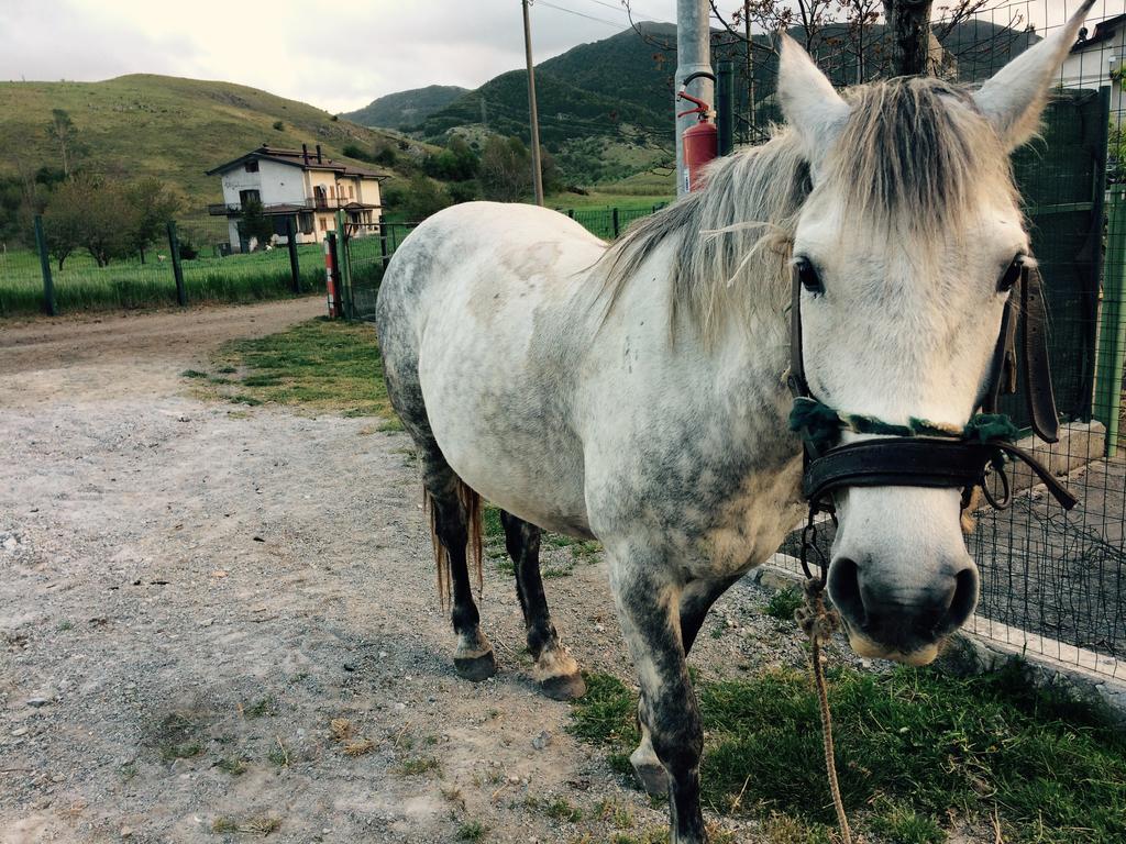 مورمانو Agriturismo Casa Della Nonna المظهر الخارجي الصورة