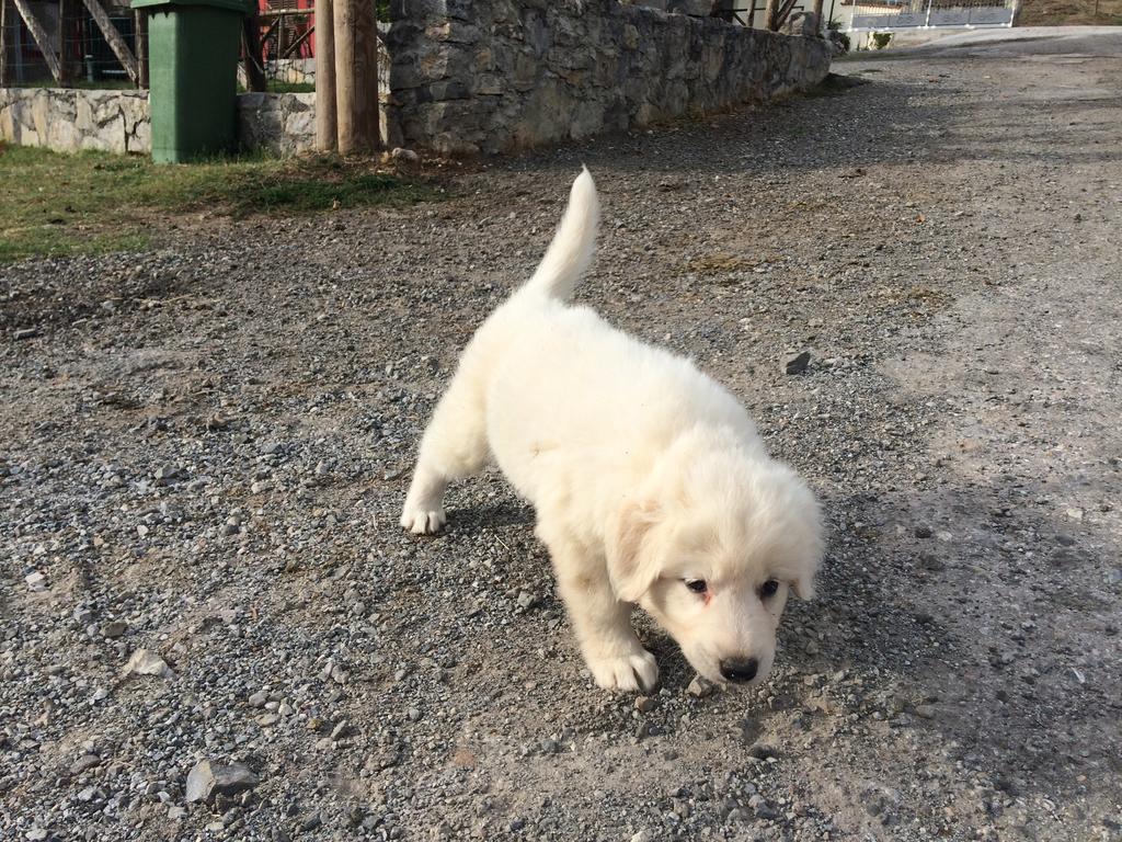 مورمانو Agriturismo Casa Della Nonna المظهر الخارجي الصورة